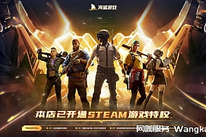 海鲨游戏特权超清壁纸(海报)下载(海鲨STEAM特权)