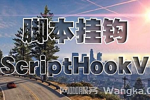 GTA 脚本挂钩 1.0.335.2-1.0.2699.0